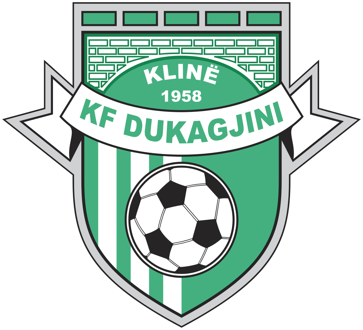 FC_Dukagjini.svg_.png